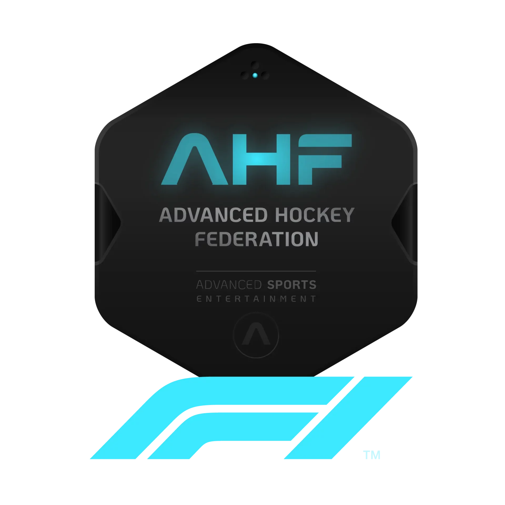 F1-AHF-HOCKEY-Advanced-Hockey-Federation